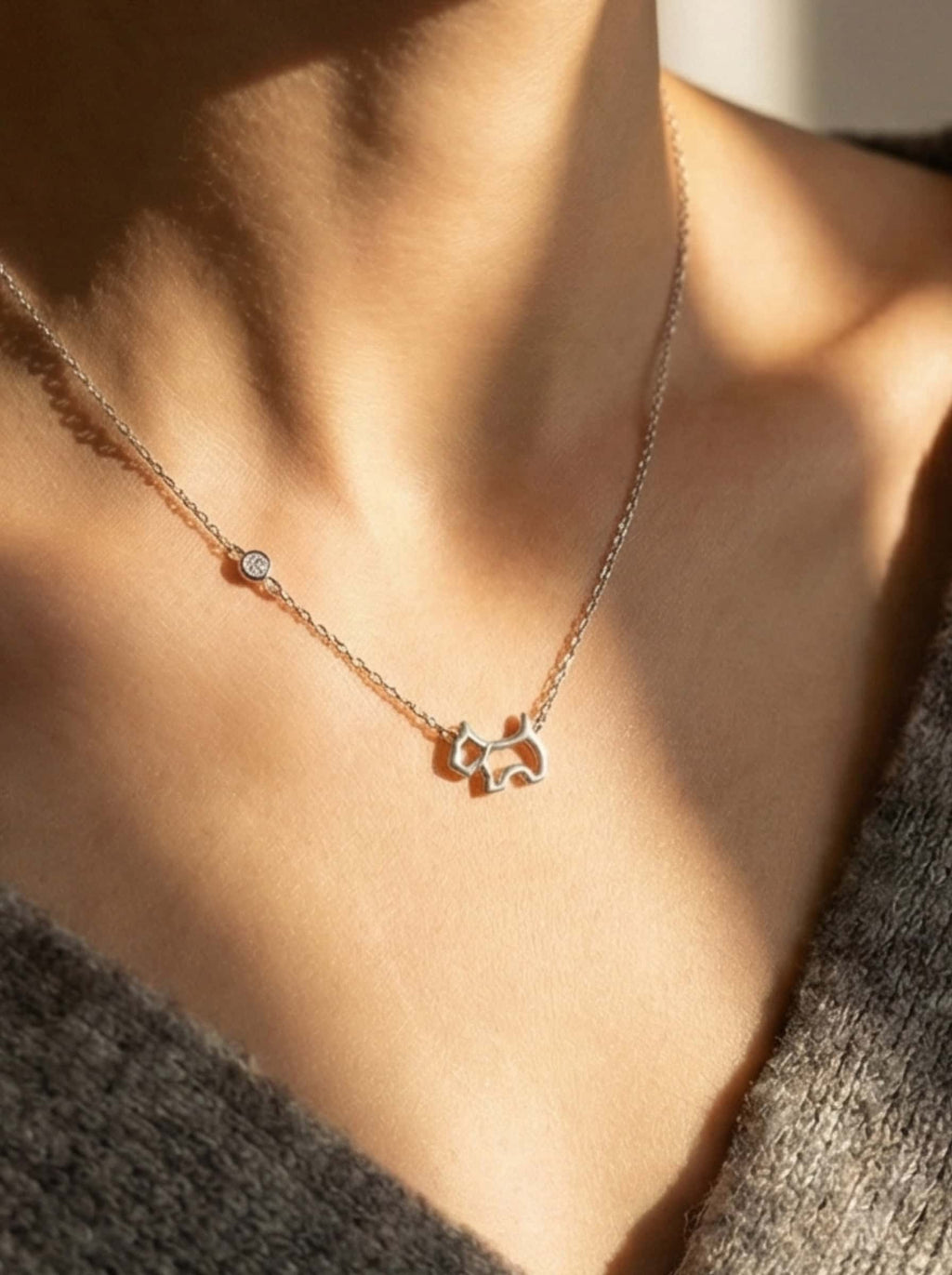 Close-up of a woman's collarbone wearing a delicate silver dog pendant necklace catching the golden hour sunlight.