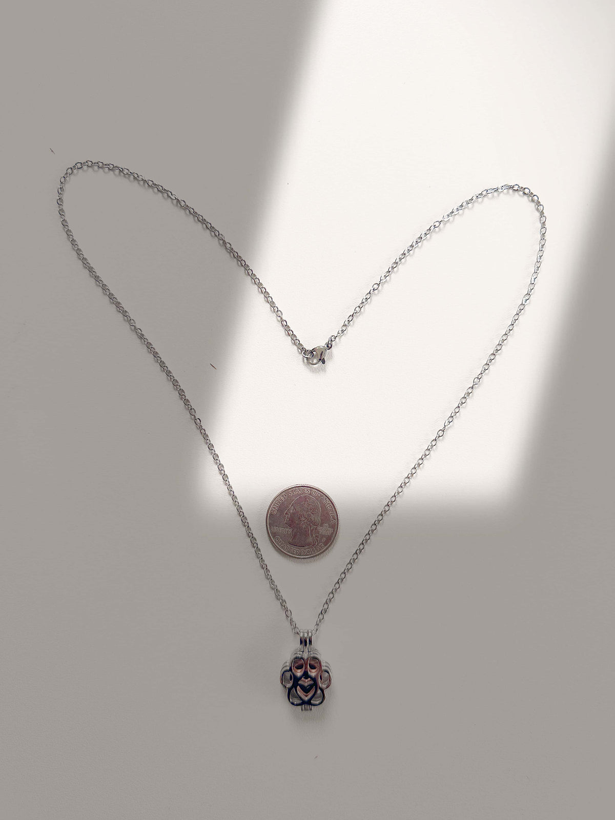 Paw print pet ashes necklace chain and pendant displayed beside a US quarter coin for scale
