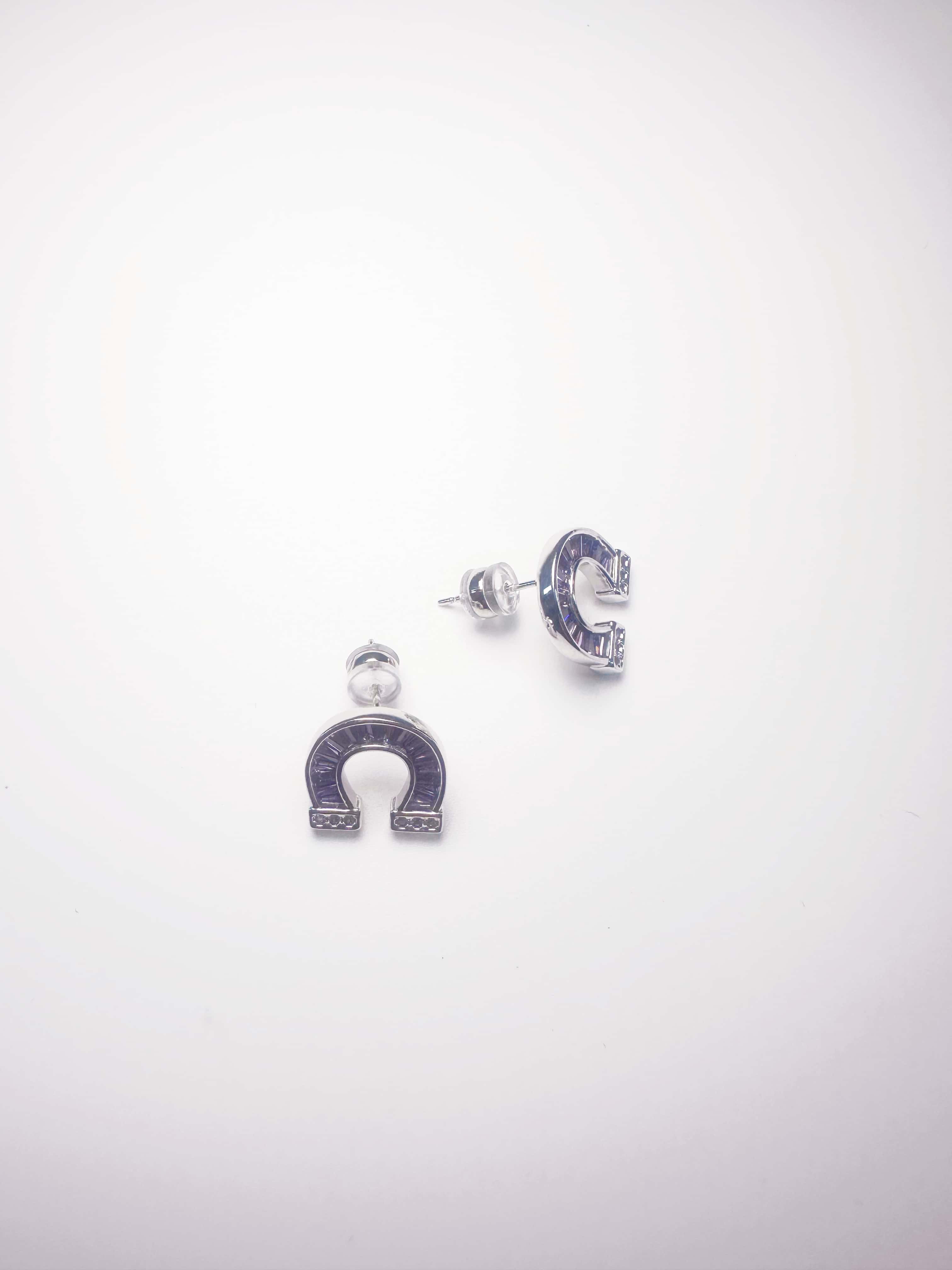 Flat lay view of the rhodium-plated brass horseshoe earrings showing the secure earring backs and fine craftsmanship